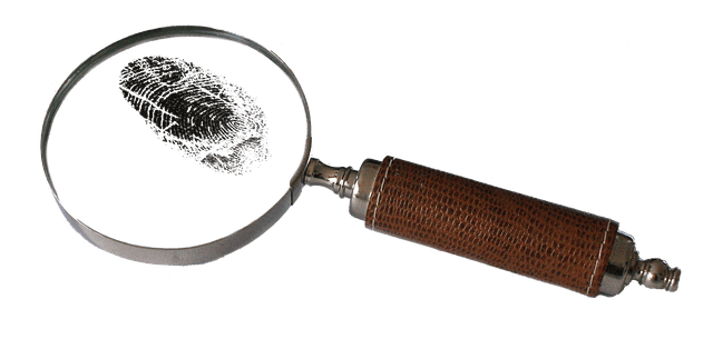 Persoonlijk Onderzoek; Redelijk Vermoeden Van Fraude In - Prive Detective Antwerpen  DB Investigations thumbnail