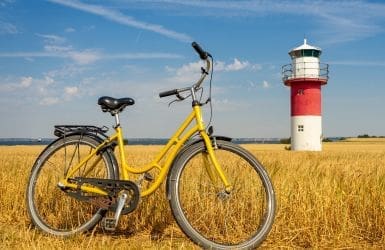 affordable bicycle insurance