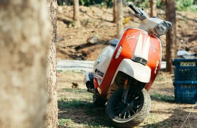 Affordable moped insurance